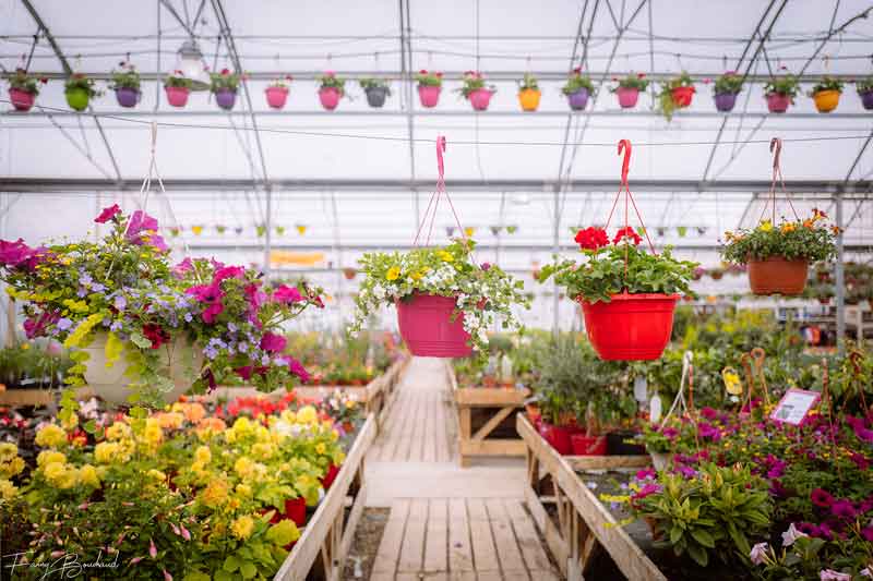 jardiniére et suspension