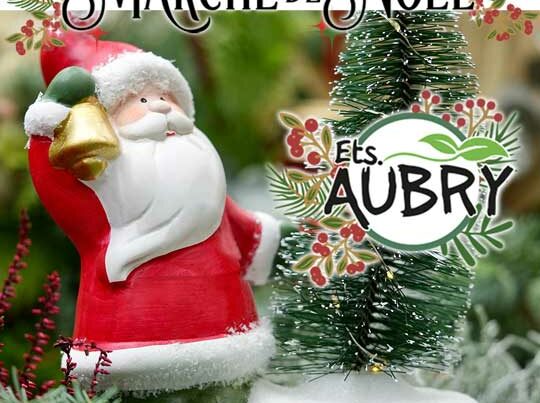 NOËL 2022 YPORT FÉCAMP FROBERVILLE