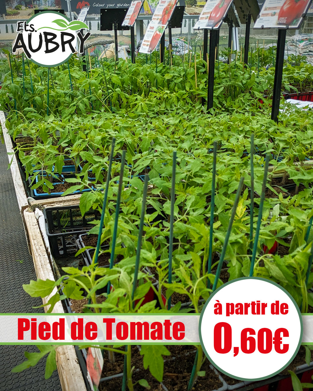 On commence le potager !